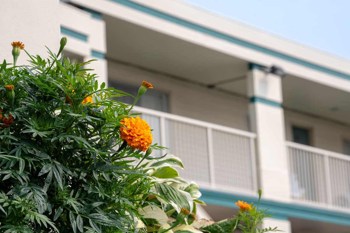 Front garden at Relax Inn