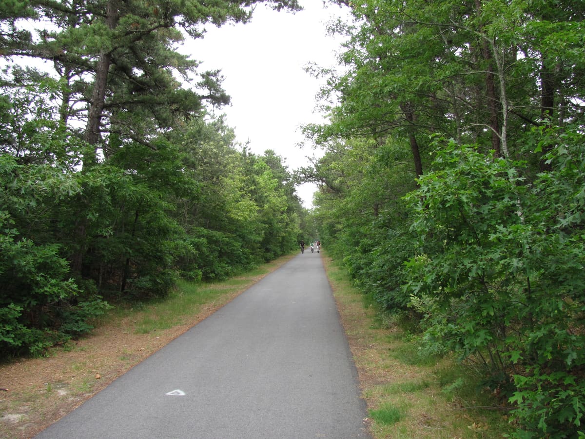 The Cape Cod Rail Trail near South Dennis - flat paved path through pitch pine and scrub oak forest